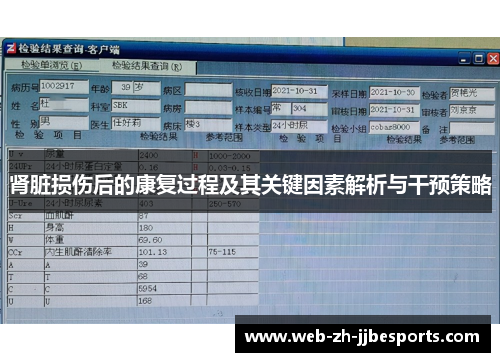 肾脏损伤后的康复过程及其关键因素解析与干预策略 肾脏损伤后的康复过程及其关键因素解析与干预策略